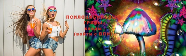 прущие грибы Медногорск