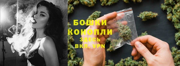 прущие грибы Медногорск