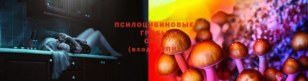 spice Магадан