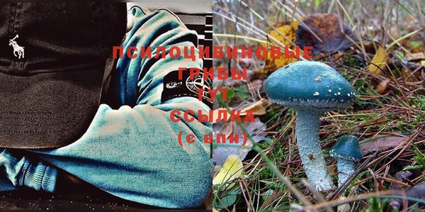 спайс Магас