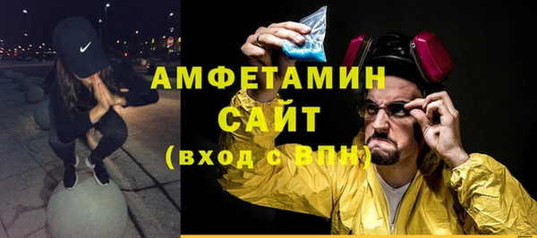 прущие грибы Медногорск