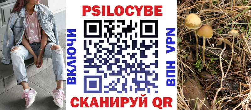 Галлюциногенные грибы Magic Shrooms  Владимир 