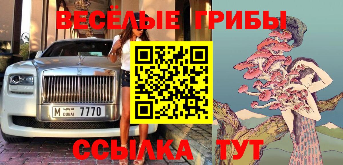 Псилоцибиновые грибы мухоморы Владимир