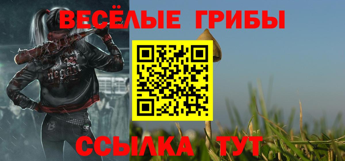 Псилоцибиновые грибы Cubensis  Владимир 