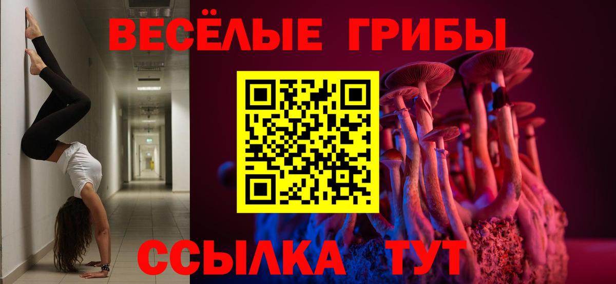 Псилоцибиновые грибы Magic Shrooms Владимир