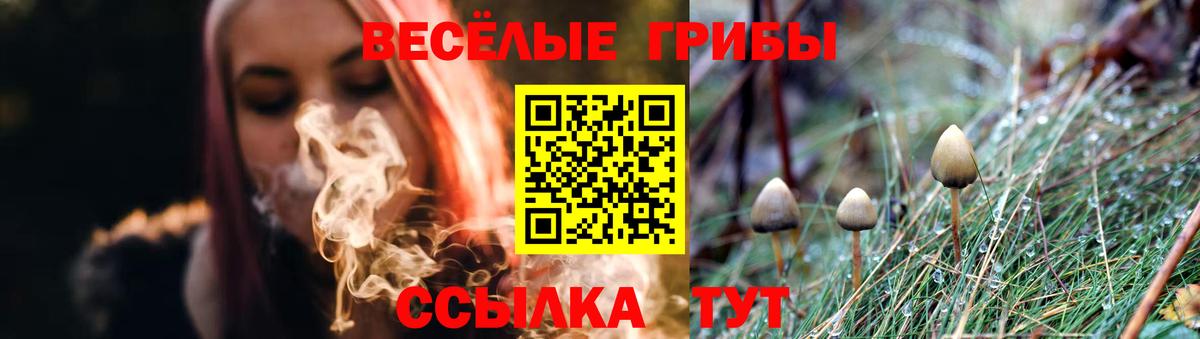 Галлюциногенные грибы Magic Shrooms  Вход с VPN  Владимир 